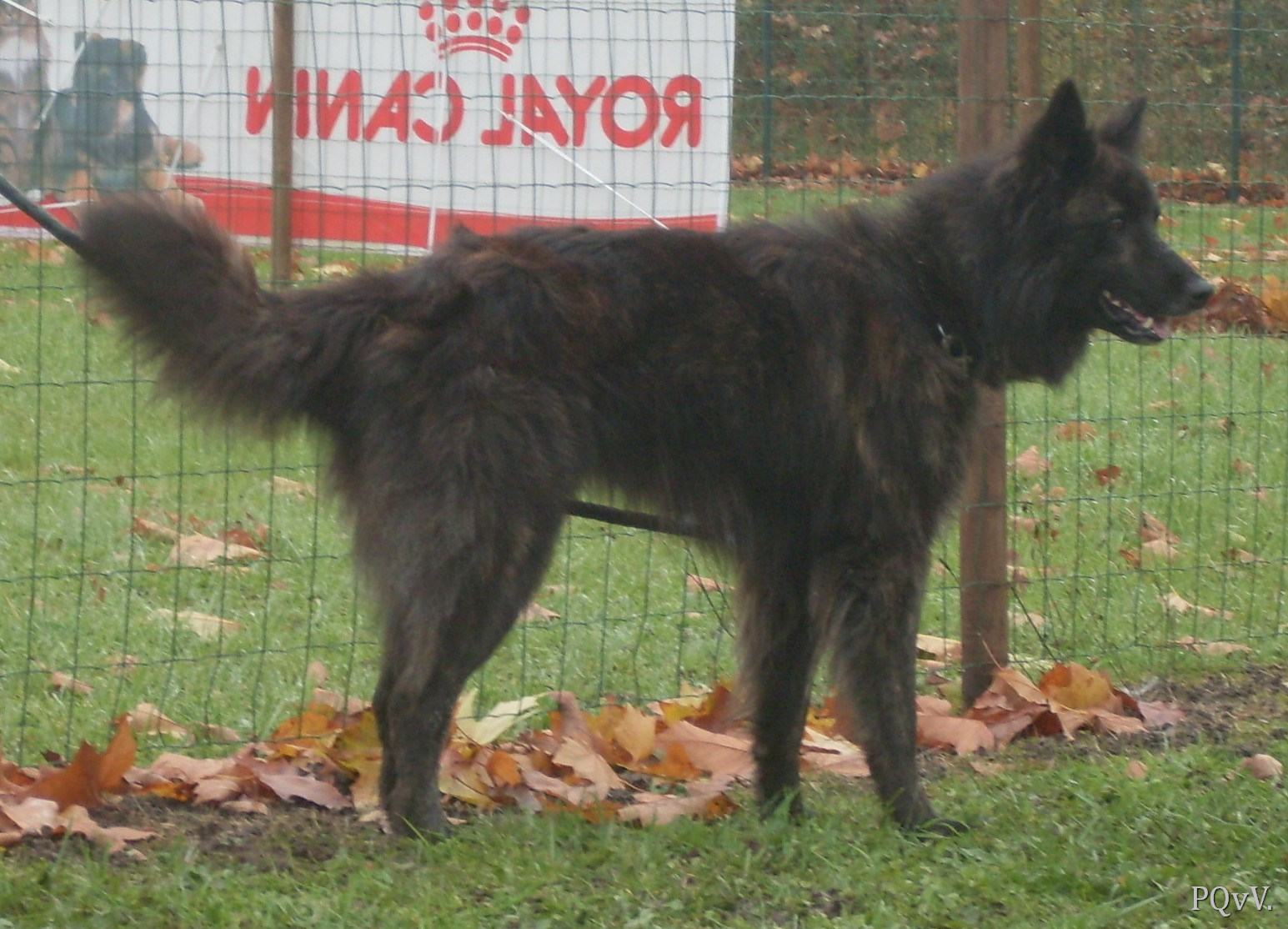 Faelan de la Horde d’Artemis (pas inscrit pour le RE) 